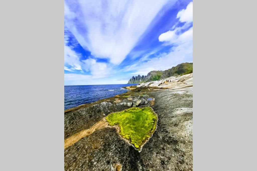 Waterfront Senja 3 Apartment Torsken Luaran gambar